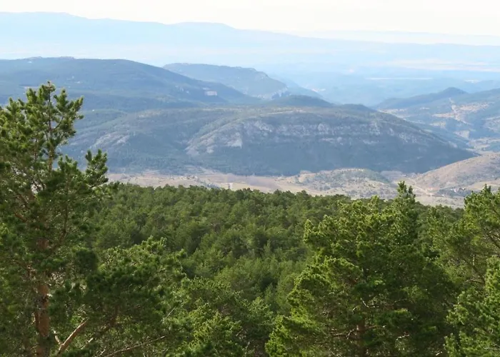 Guest house Hostal Gudar 2*